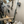 Load image into Gallery viewer, Blind Caddy