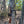 Load image into Gallery viewer, Timber Magnet
