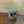 Load image into Gallery viewer, Blind Caddy