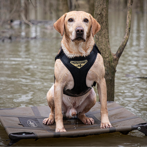 Labrador hunting vest discount